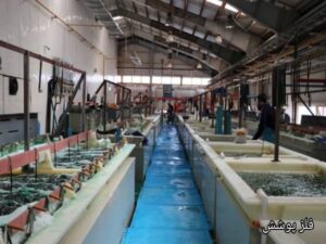 کاربرد آبکاری قلع در جمهوری